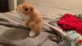 Wild republic kangaroo rat toy review