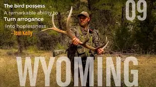 9 | Gobbling Frenzy! | Wyoming Public Land Turkey Hunting | Our Story 22