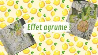 Effet agrume : citron et rondelle !