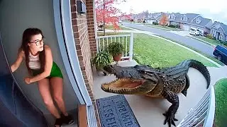 That Really Happened in People's Backyards