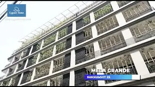 MELA Grande