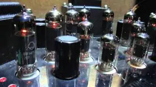 lungyim~Manley Stingray Integrated Stereo Amplifier ( 1 )