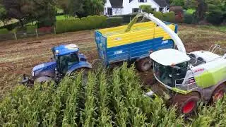 Heslip contracts maize harvest