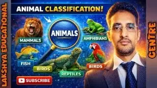 Animal Classification -Part II