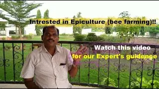 Apiculture   Beekeeping  Tutorial 1 || Introduction to Apiculture