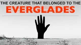  &ldquo;The Creature that Belonged to the Everglades&rdquo; (2025) | FULL HD SHORT HORROR/MYSTERY FILM 