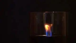 Bio Feuer