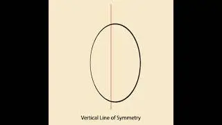 Vertical Line Symmetry: Circle