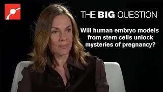 Infertility and Birth Defect Research Breakthrough: Magdalena Zernicka-Goetz on her Embryo Model