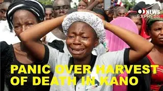 PANIC IN KANO OVER HARVEST OF DEATH; UNDERTAKERS OVERWHELMED