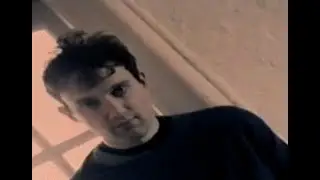 ANIMALS THAT SWIM - Pink Carnations (Official Promotional Video - 1995)