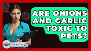 Are Onions And Garlic Toxic To Pets? - Ask A Pet Vet