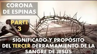 TERCER DERRAMAMIENTO DE LA SANGRE DE JESUS/PARTE 3/CORONA DE ESPINAS/SIGNIFICADO Y PROPOSITO/LIBRO