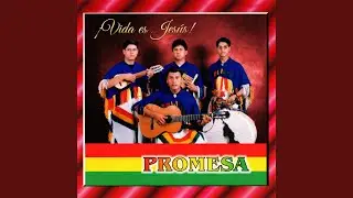 Firmes
