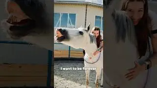 #horse #pony #horseriding #jumping #equestrain #equestrianjumping #лошади #horsejumping #horseing