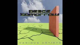 Various Artists - Peace Tomorrow V/A [PT001]