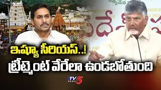 CM Chandrababu Naidu Serious Comments Over TTD Adulterated Ghee Case | YS Jagan | YSRCP | TV5 News