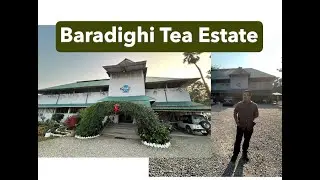 Baradighi a 600-acre British tea estate.