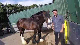 Experience Days at Horse Drawn Promotions