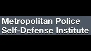 MSPDI Weapons Presentation
