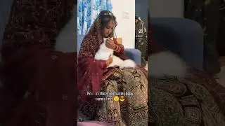 #newsong#hairstyle#bridalmakeup #vayral_video#catlovers#catlife#catvideo#cat#catdoctor#trendingvideo