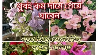খুব কম দামে পেয়ে যাবেন # নতুন ভারি টি 