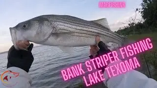 Bank Striper Fishing at  Lake Texoma