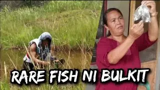 Pinaka-Talagsaon nga isda, si Bulkit ang namaligya. 😂🐟🤣