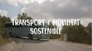 Sortides i excursions escolars