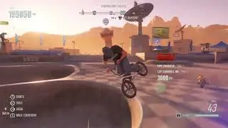 Vans bowl shred