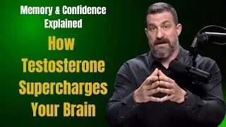 How Testosterone Supercharges Your Brain Memory & Confidence | Andrew Huberman