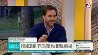 Buen d&iacute;a Uruguay -  Proyecto de ley contra el maltrato animal