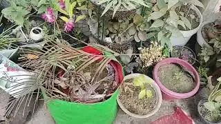 खरगोश के लिए धूप क्यों जरूरी है🐇#millionviews #shortvideo #adoreble bunny #petlover 