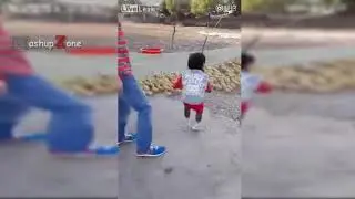 DUCK ARMY Videos Compilation    NEW