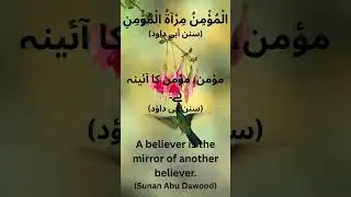 Mirror of Faith               #BrotherhoodInIslam#MirrorOfFaith#HadithWisdom