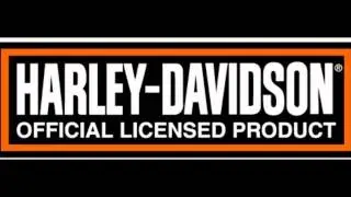 Harley Davidson Bar & Shield Flames Wall Cue Rack