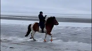 T&ouml;lt p&aring; stranden