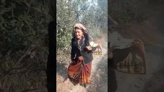 Pahadi Aama Ke Geet ! #pahadiaama #aama #song #faag #kumaon #uttarakhand
