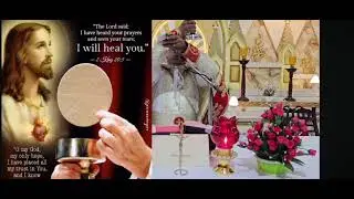 🌞Daily Mass Bless(John:6):Holy ❤️🙏Whoever eats...lives in me(Jn 6:56)🙏 Happy in Lord....(Phi 4:4)