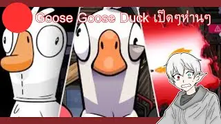 Goose Goose Duck เป็ดๆห่านๆ