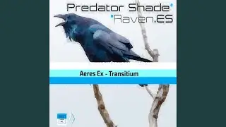 Transitium