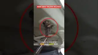 How to Protect Car from Rats | Lakhon ke Chune Se Bacho