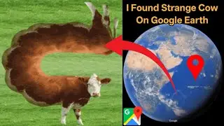 I Found Strange Cow On Google Earth Find Earth Hand #googlemaps #googleearth #viralvideo 
