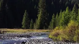 Soda Butte Creek - Montana
