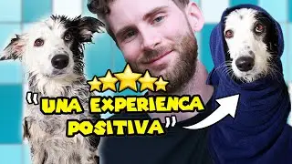 🐶 ENSEÑA a tu perro a amar la ducha! (mi metodo)