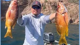 PESCAMOS PARGOS GIGANTES 🎣 EN LA ISLA 🏝️ PESCA CON CAMARÓN VIVO MAZATLÁN