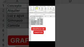 Crear un gr&aacute;fico de gastos sencillo en Excel