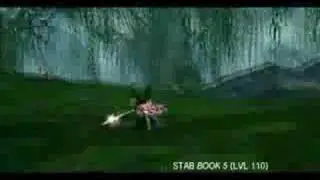 Best Video Silkroad Bicheon Skills Lvl 90 - 120