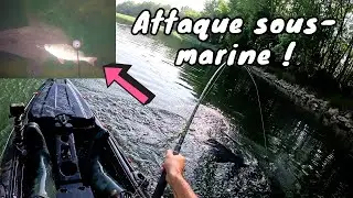 ATTAQUE SOUS-MARINE DE SILURE ET P&Ecirc;CHE &Agrave; VUE !