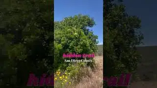 Hidden Trails in San Diego County #shorts